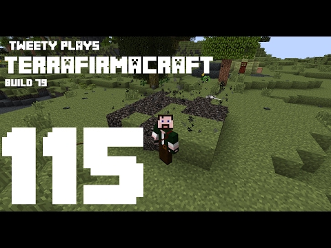 Tweety plays Terrafirmacraft ep 115 : Charcoal pit