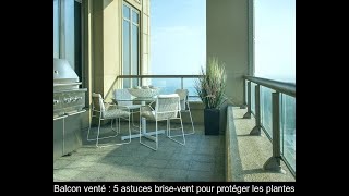 5 manières d&#39;empêcher le vent de nuire aux plantes sur un balcon exposé