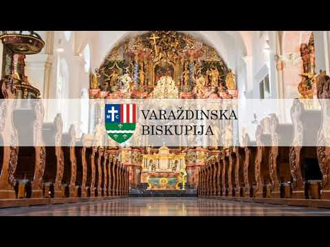 Kome da idemo? Cvjetnica - Nedjelja muke Gospodnje (A) 2020. - s. Damjana Mihaela Barbarić