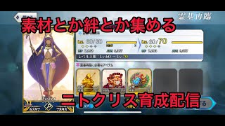 【FGO】ワルツイベも来るのでニトちゃん育成するか