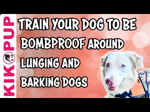 STOP UNWANTED behaviors with BACK UP