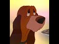 The Best Friend The Fox And The Hound X Chamber Of Reflection Slowed Reverb Read Desc