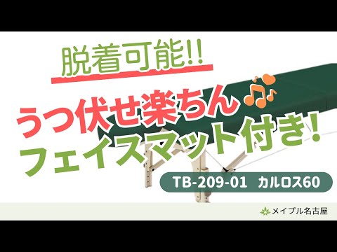 【高田ベッド】TB 209-01 カルロス60