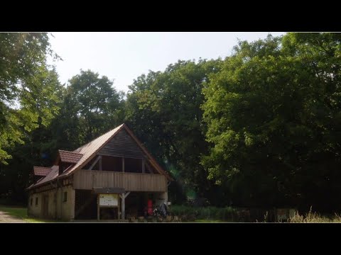 NDR Nordtour unterwegs - Mesekenheide