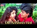 Dil Aashna Hai Jigar Aashna Hai 4K 90s Hindi Romantic Song Shah Rukh Khan Divya Bharti