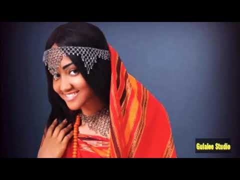 Falmataa Roorroo: Oromtitti wallo