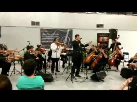 Romance de Mi Destino  - Terry Alvarez