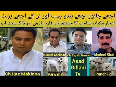 Beautiful Farmhouse Beautiful Dog Setup Owner Ch Ijaz Makiana Of Gujrat USA