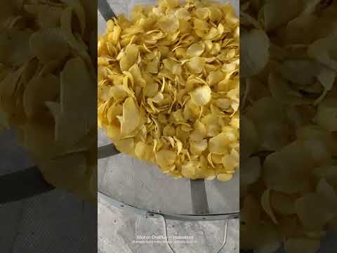 Potato Chips Making Machine Plant Fully Cost