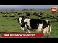New Zealand Proposes Taxing Greenhouse Gases That Farm Animals Make From Burping Peeing