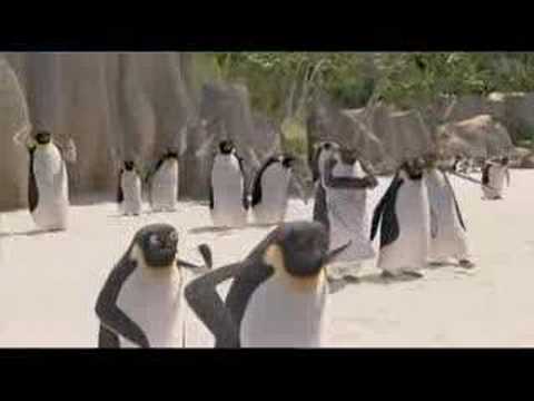Les Rois de la Glisse Xbox 360