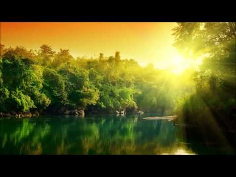 Miroslav Vrlik - Green Eden (Original Mix)