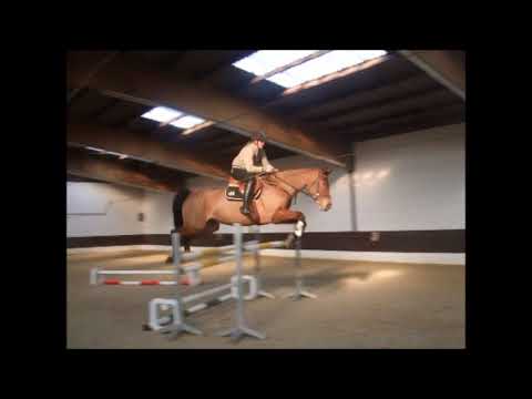 SKYSCANNER 7j. v. Stolzenberg - Landclassic VB 8.000,- Euro