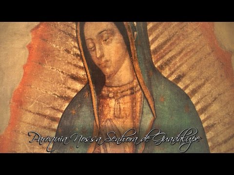 Homilia 09.08.2015 - Missa das Crianças - Pe.  Marcelo Cecato LC