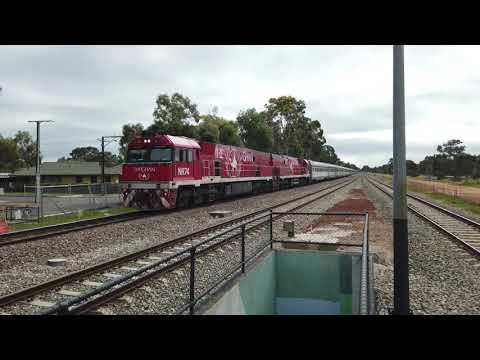 NR74 + NR109 (Ghan loco's)