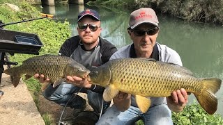 Trabucco TV - Feeder nel Terdoppio con Maurizio Biolcati