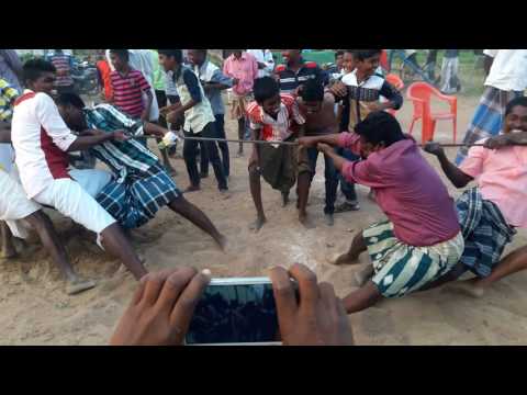 Lions group kvl 2017