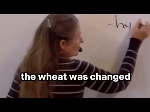 Hybridised Wheat 🌾