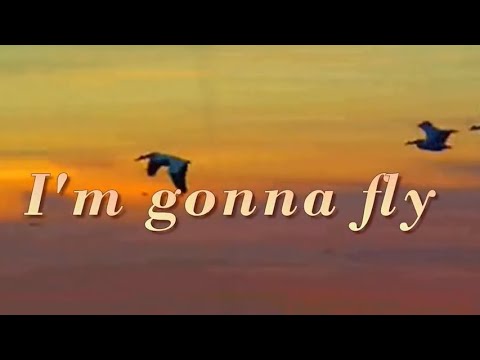 I'm Gonna Fly