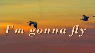 I&#39;m Gonna Fly Amy Grant Lyrics