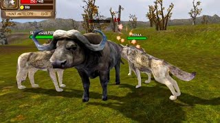Wild Wolves Challenge in the World 🌍 Ultimate Wolf Simulator By Yamtar Simulator Games 
