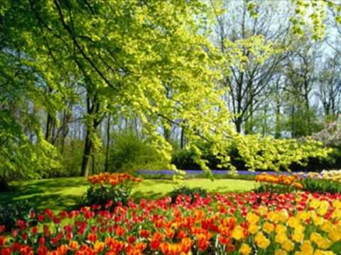 My Choice 233 - Joe Grech: Marija il-Maltija