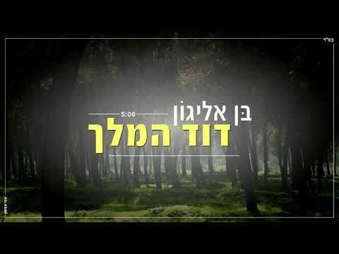 בן אליגון - דוד המלך | 5:06 | Ben AlyagoN - The king David