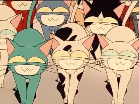 Luna Tuxedo Kamen  funny cat scenes sailor moon