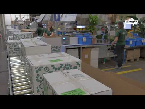 Dehner Pflanzenversand