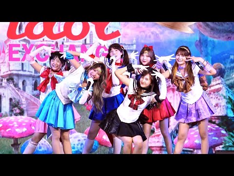 "ทาสแมว (Honey Toast)" by "CHEESY PIE [Cm Cafe]" @ "Idol in Wonderland" :Idol Exchange MBK Center