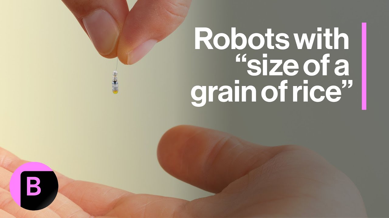 French Micro-Robotics Startup Favours US Expansion Over Europe