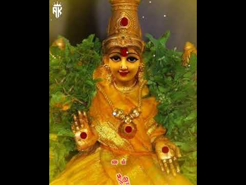Amma Kannu mulikira anga paru Tamil whatsapp status