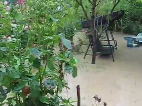 VIITURA IN PARAUL BOGHII JUD. BACAU 3