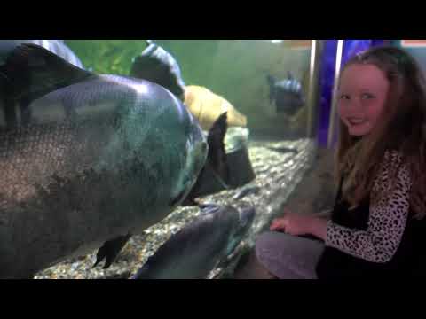 Trevor Fuller Photography & videography video.