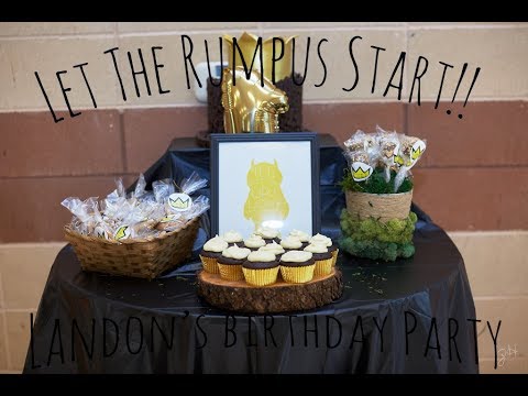 Landon's Wild One, Let The Rumpus Start!! | LifeWithTheHills