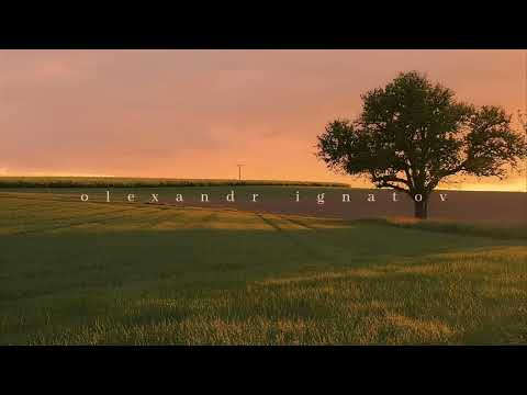 Olexandr Ignatov - Echoes (1hour)