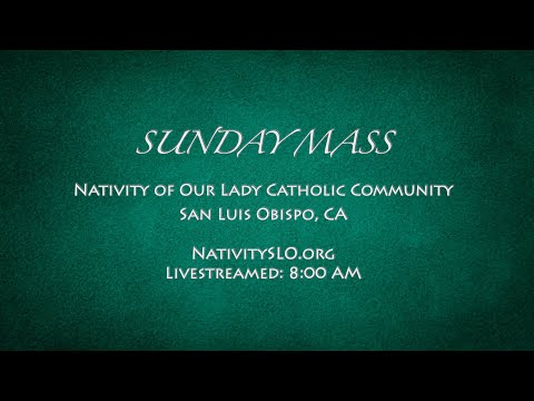 Sunday Mass @ Nativity 11-13-2022 8AM LS
