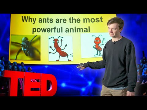 Underdogs TED Talks