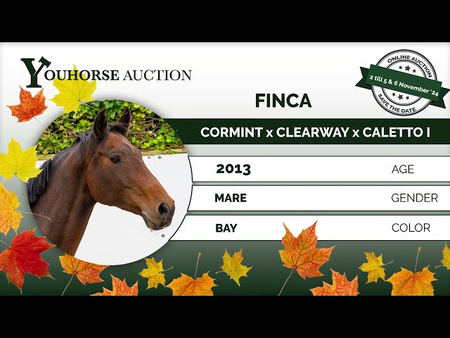 Finca