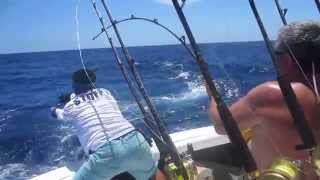 preview picture of video 'Reeling in a blue marlin while deep sea fishing in Costa Rica'