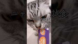 ニャンコの試食