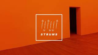 Cale Hawkins - Polyester Day