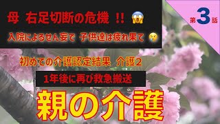 【親の介護日記】第3話  母緊急入院　右足手術　せん妄のため付き添い必要