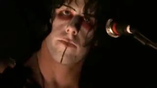 Sleepytime Gorilla Museum - Ossuary (Live)