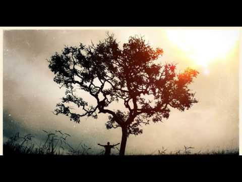 Adam F feat.Tracey Thorn - The Tree knows Everything