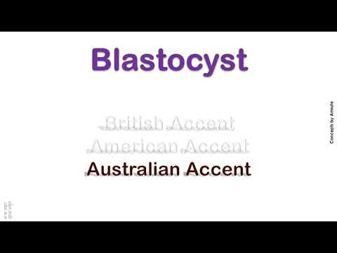 Blastocyst   How to Pronounce Blastocyst in Australian Accent, British Accent, American Accent ?