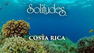 Dan Gibson’s Solitudes - Drifting on the Reef | Costa Rica