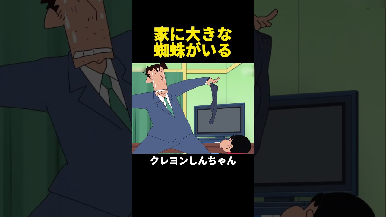 家に大きな蜘蛛がいる #クレヨンしんちゃん #アニメ #面白集 #anime #shorts