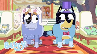 Bluey Meet the Dads gameplay video by prossesrta, 11:07 duration