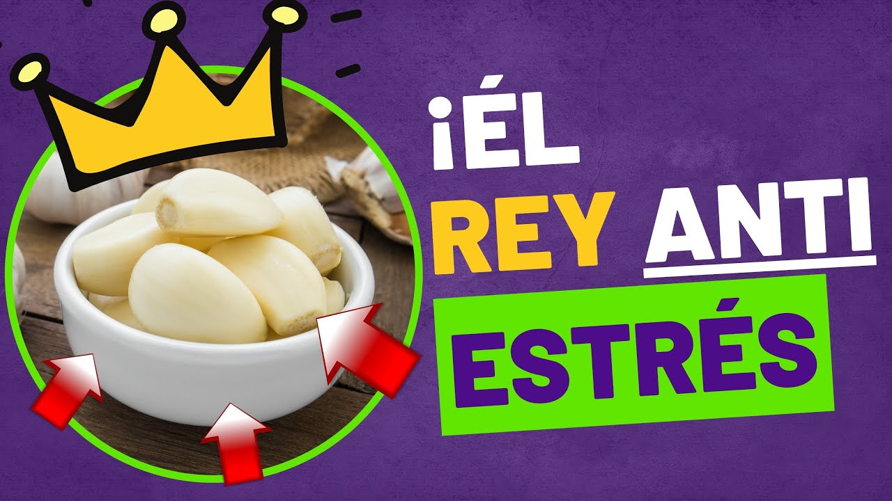 16 Alimentos Que Ayudan a COMBATIR el ESTRES